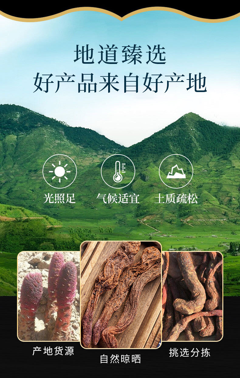 Cynomorium Song Yang Powder Slices for Wine Soaking 500g