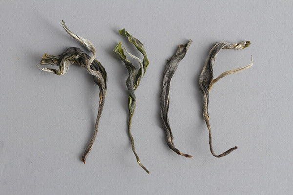 Early Spring Tea Puerh Raw Tea Loose Tea 500g Yunnan Puerh Tea