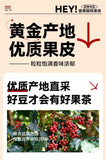 Handpicked Yunnan Arabica Coffee Cherry – Dried Whole Fruit Tea