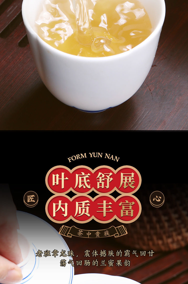Puer Longzhu Yunnan Ancient Tree Old Banzhang Puer Raw Tea