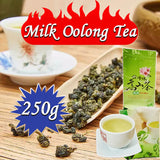 Taiwan Oolong Tea Organic Jin Xuan Milk Oolong Oolong Tea Jinxuan Milk Tea