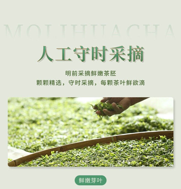 2025 Xinyang Maojian Jasmine Tea 250g Premium Loose Leaf Fragrant