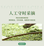 2025 Xinyang Maojian Jasmine Tea 250g Premium Loose Leaf Fragrant