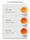 Wuyi Jingyao Shui Xian Oolong Tea Premium Old Bush High Mountain Loose Leaf