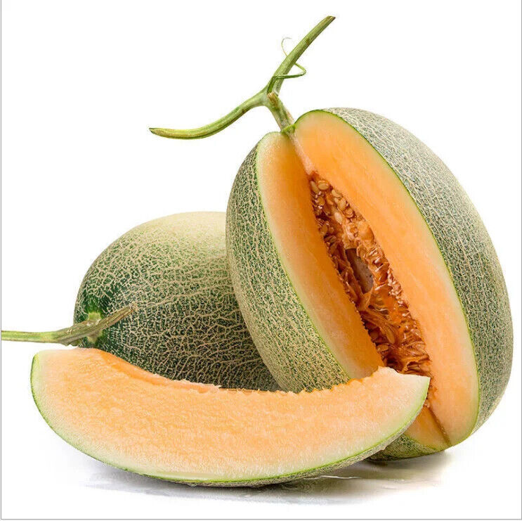 Cantaloupe Fruit Honeydew Hami Melon Extract Powder Water Soluble Beverage