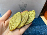 500g Golden Leaf Pu-erh Raw Tea Menghai Big Tree Golden Leaf Tea