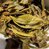 2019 Yibang Cat Ear First Flush Yunnan Pu'er Tea 200g Tuo Ancient Tree Raw Tea