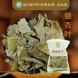 Ginkgo Leaf Tea Natural Health Benefits Traditional Chinese Herbal Wellness