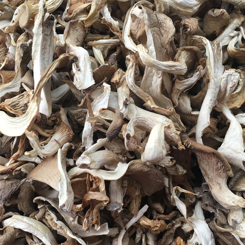 Fresh Oyster Mushroom Strips Phoenix Tail Mushroom Yunnan Farm Wholesale