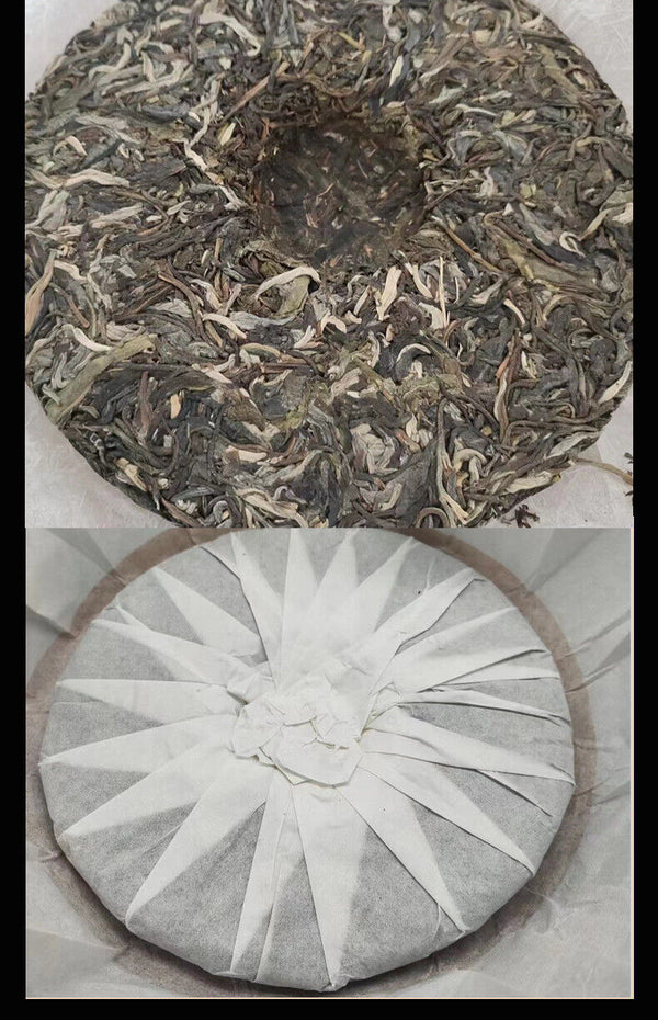 Yunnan Pu'er Tea Pagong Gushu First Spring Pu'er Raw Tea 357g Cake Tea