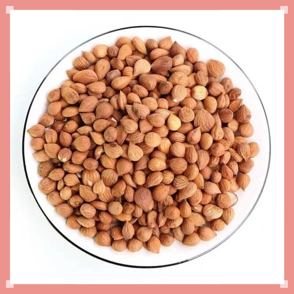 ✅Certified Organic Apricot Kernels Raw - Premium Grade Secondary image