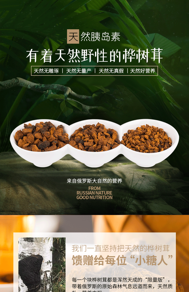 Authentic Chaga Premium Quality Chaga Granules 200g/can Edible Fungi Health Care