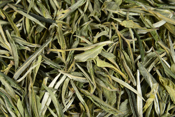 500G Yunnan green needle green tea single bud strong aroma green tea straight