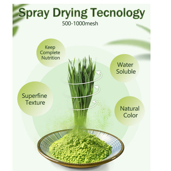 100% Pure Natural Amazing Barley Grass Powder - Organic Healthy Drink