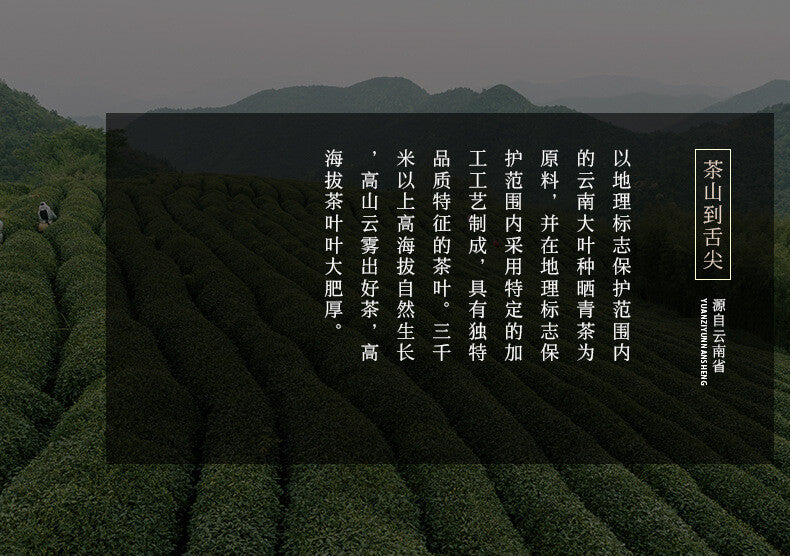 357g Jingmai Golden Bud Pu'er Ripe Tea  Pu'er Tea Cake Yunnan Pu'er Tea