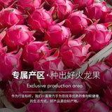 100% Pure Dragon Fruit Powder Vegan Food Coloring for Ice Cream, Baking & Drinks
