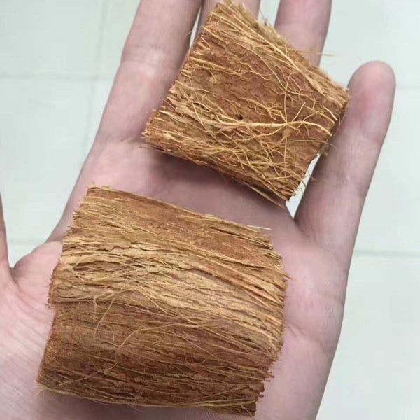 Organic Coconut Husk Chips 4-6cm Husk fiber Orchids Anthodium Growing Medium