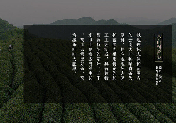 357g Yunnan Tea Puerh Tea Wholesale Jingmai Golden Bud Puerh Ripe Pu'er Tea Cake