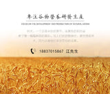 Cooked Peanut Powder Ready-to-eat Stir-fried Baked Meal Replacement Powder 500g