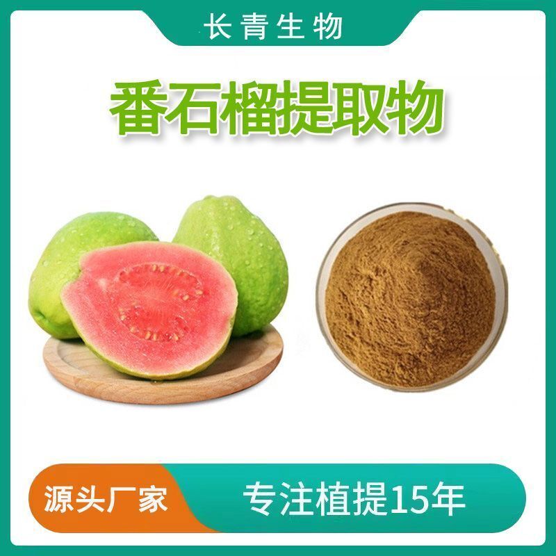 Guava Leaf Extract Powder 30:1 Water Soluble Psidium Guajava Plant Concentrate