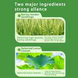 Meal replacement barley seedling green juice powder