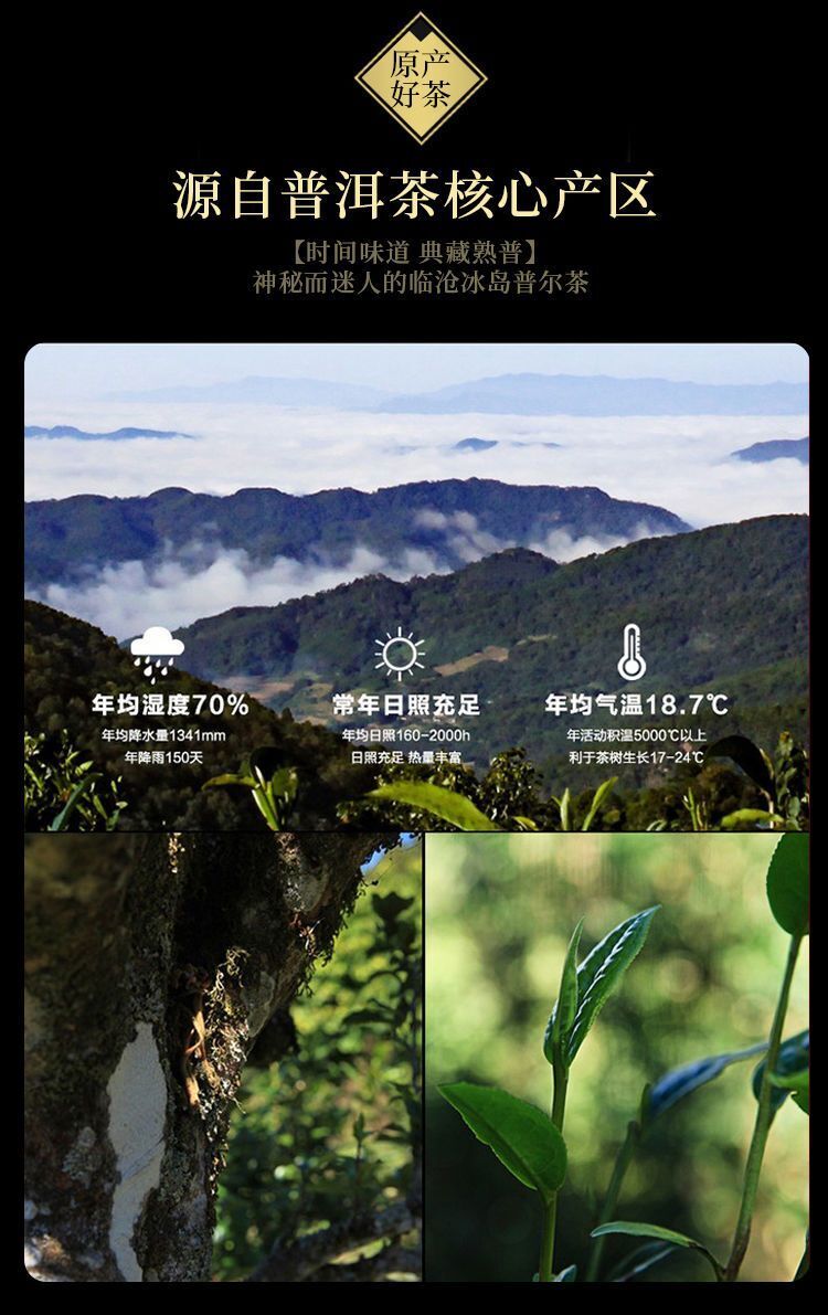Icelandic Puerh Tea Hundred Years Old Tree Tea Brick 250g Ripe Tea