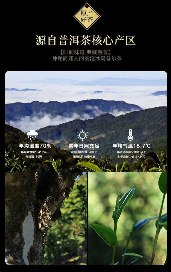 Icelandic Puerh Tea Hundred Years Old Tree Tea Brick 250g Ripe Tea