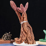 Cynomorium Song Yang Powder Slices for Wine Soaking 500g