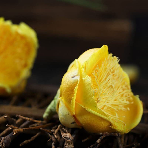 Golden Camellia Authentic Camellia Tea Fangcheng Specialty Flower Tea 3.53oz金花茶