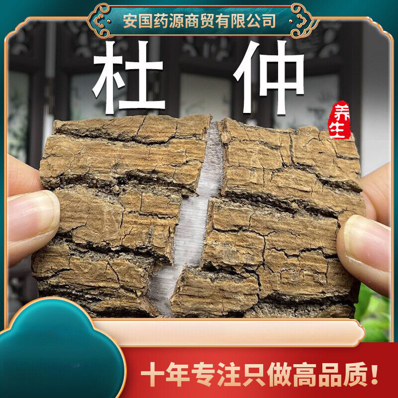 High Quality Eucommia Ulmoides Chinese Herbal Raw Eucommia Ulmoides Duzhong 杜仲 Main image