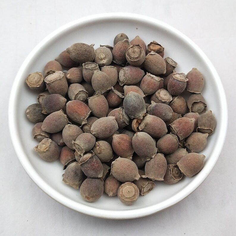 500g Organic Dried Rhodomyrtus Tomentosa, Downy Rosemyrtle Fruit Secondary image