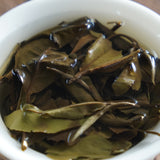 Wholesale Chinese famous high quality Fujian white tea high mountain snow buds