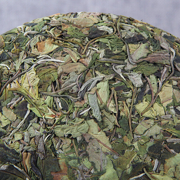 Yunnan Ancient Tree Classical White Tea 357g Spring White Tea Top-Grade