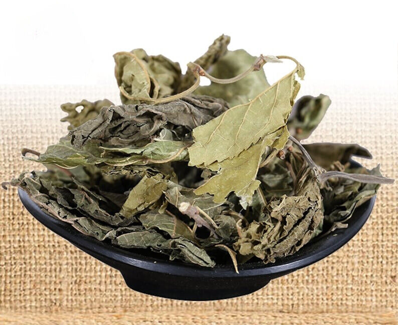 Sang Ye/桑叶/뽕잎/ Folium MoriMulberry Loose Leaves / Dried Loose Leaves Main image