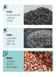 Jinyingzi & Qian Shi Tea – Water & Land Immortals, Nourishing Combo