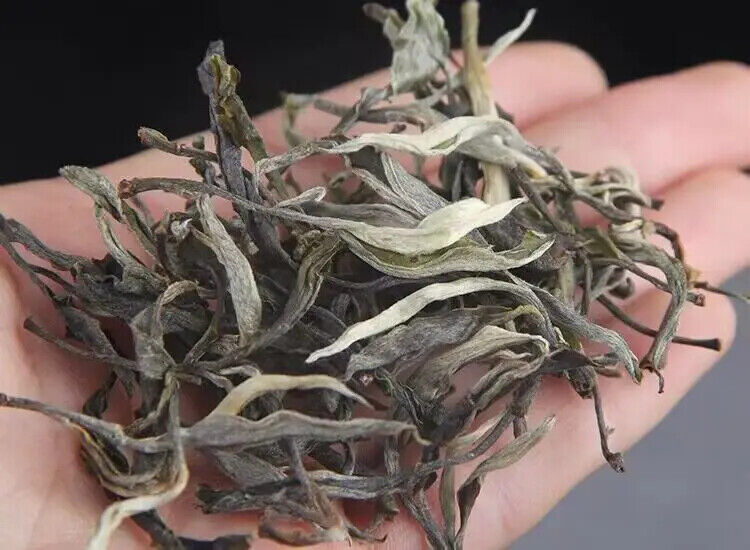 Yunnan Sheng Puerh Loose Tea From Iceland 300 Years Old Tree Raw Puer Tea 500G