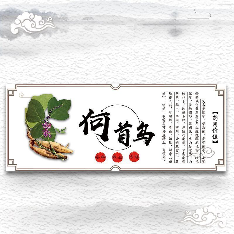 250g/8.8oz Wild Powdered Natural He Shou Wu Fo-ti Prepared Polygonum Multiflorum
