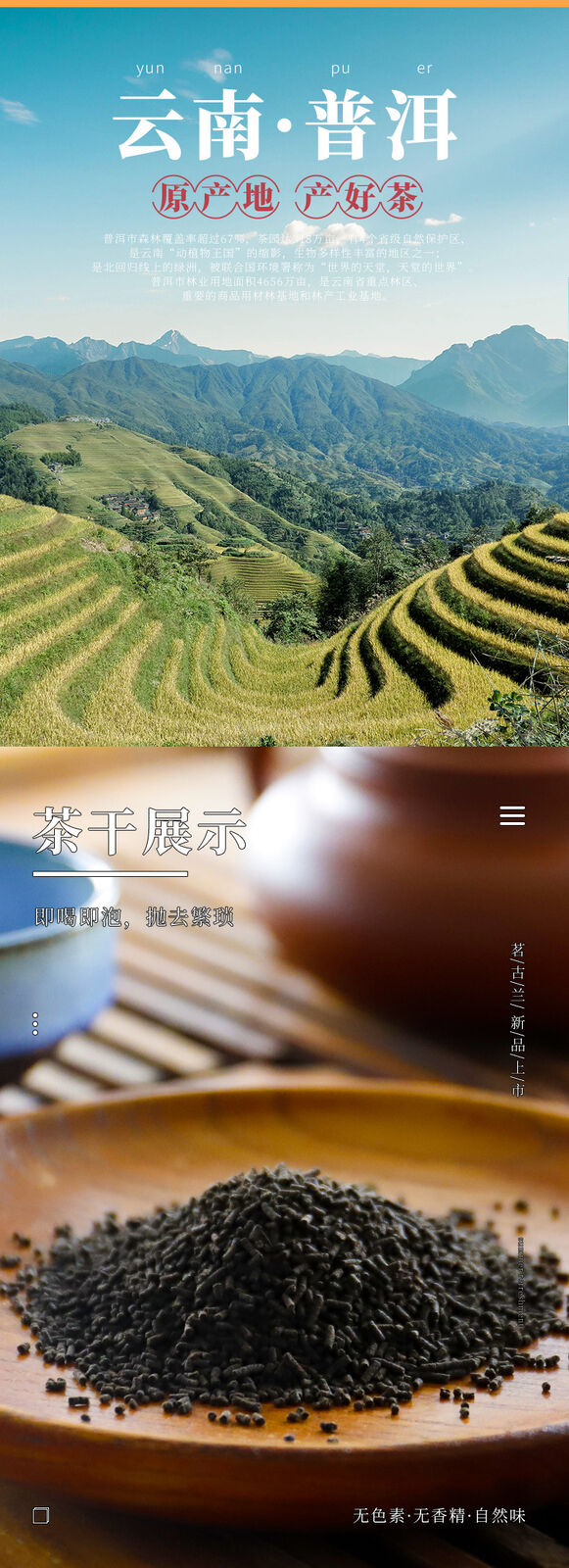 Minggulan Pu'er Tea Crystal Orange Fragrance Ready to Drink and Soak Rich Aroma