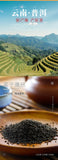 Minggulan Pu'er Tea Crystal Orange Fragrance Ready to Drink and Soak Rich Aroma