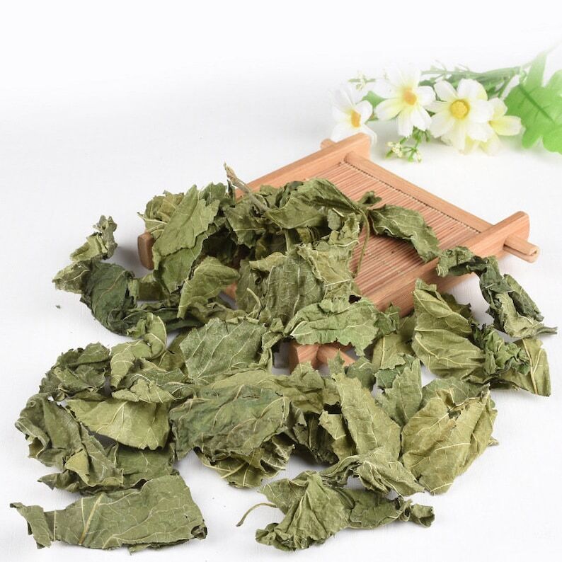500g Organic Dried Mulberry Leaf, Folium Mori Leaf Secondary image