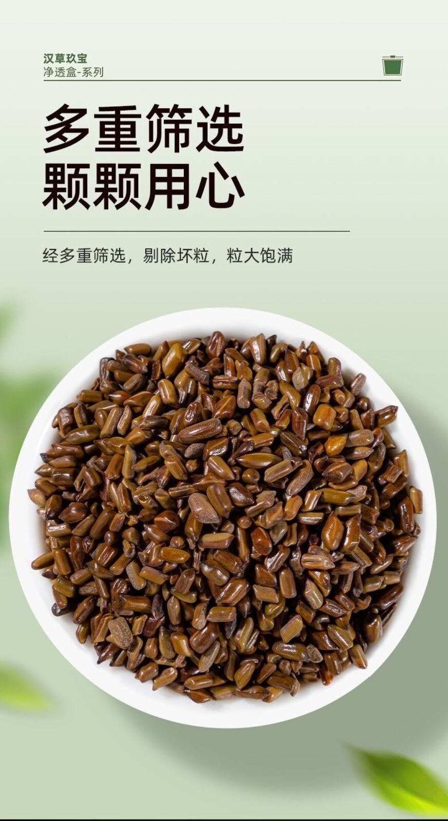100% Natural Roasted Cassia Seed Tea Pure Herbal Digestive Infusion