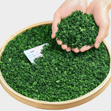 500g  Green Tea Bulk Strong Flavour Premium Anxi Tieguanyin Tea New Oolong Tea