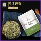 Pure Rosemary Ground Edible Spices for Home Baking Steaks, Pasta, Barbecue 35g