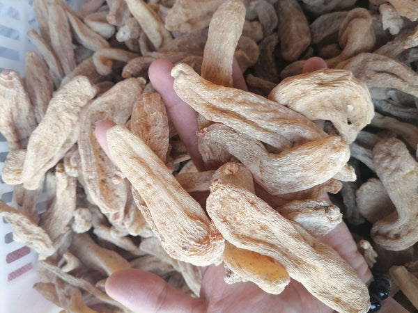 New Dried Tianma Yunnan Wu Tianma Tianma Slices Fresh Xiao Cao Ba 500/1.1lb
