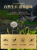 Dandelion Root Tea Changbai Mountain Dandelion Root Grandma Ding Root Tea