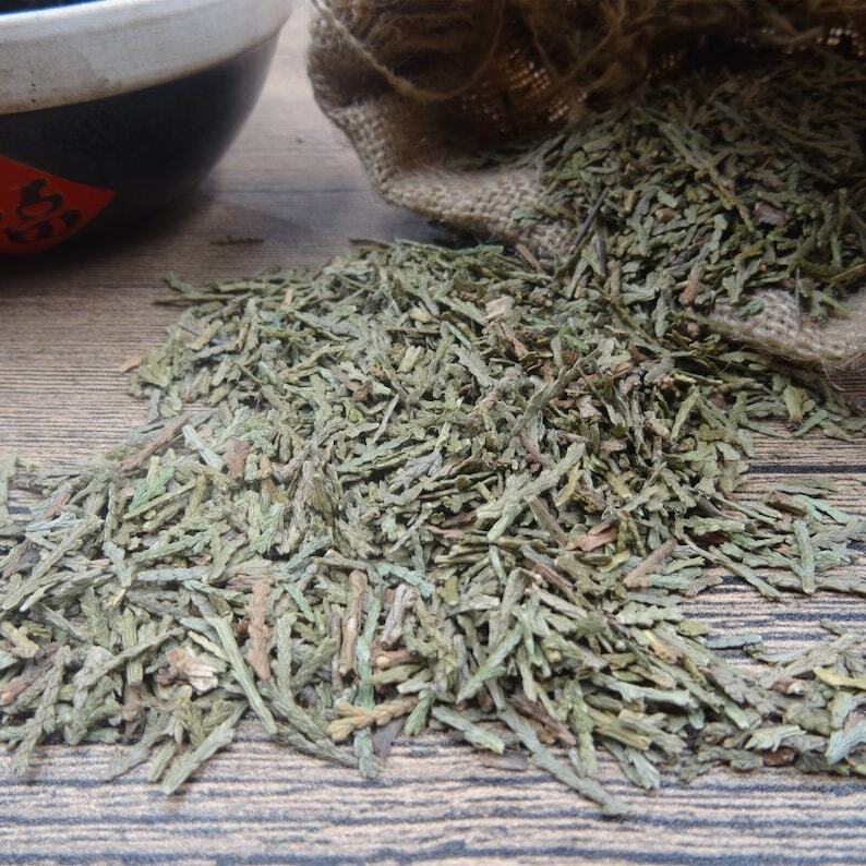 250g Cacumen Platycladi, Cacumen biotae, Ce Bai Ye, Arborvitae tops Dried Herbs Main image