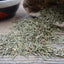 250g Cacumen Platycladi, Cacumen biotae, Ce Bai Ye, Arborvitae tops Dried Herbs