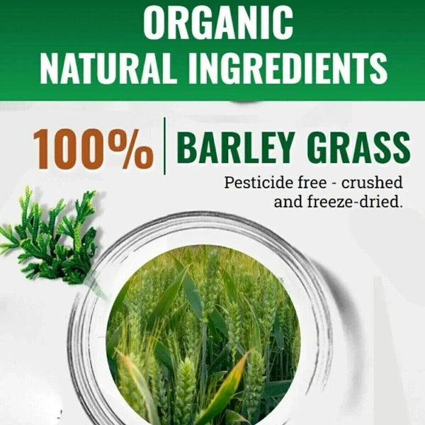 Navitas Barley Grass Powder 3gx20pcs Pure Organic Premium Natural Green
