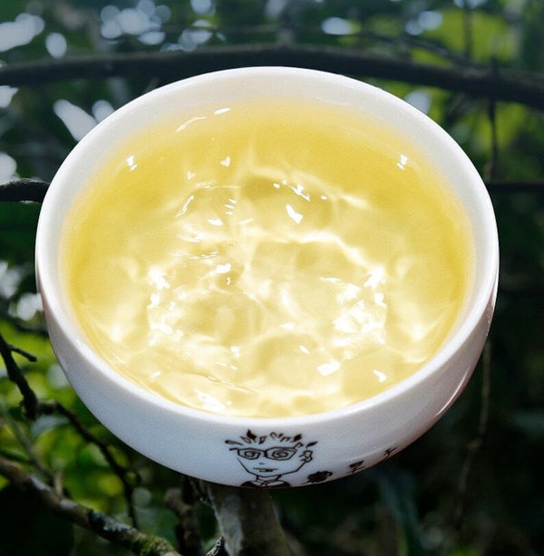 HELLOYUNG TEA -[Puerh] Raw Puerh Tea Cake 357g