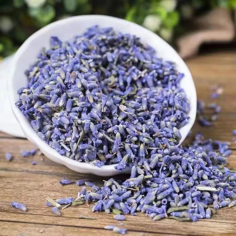 TISANE BIO LAVANDE 100g Fleur Lavendula angustifolia Herbe Séchée